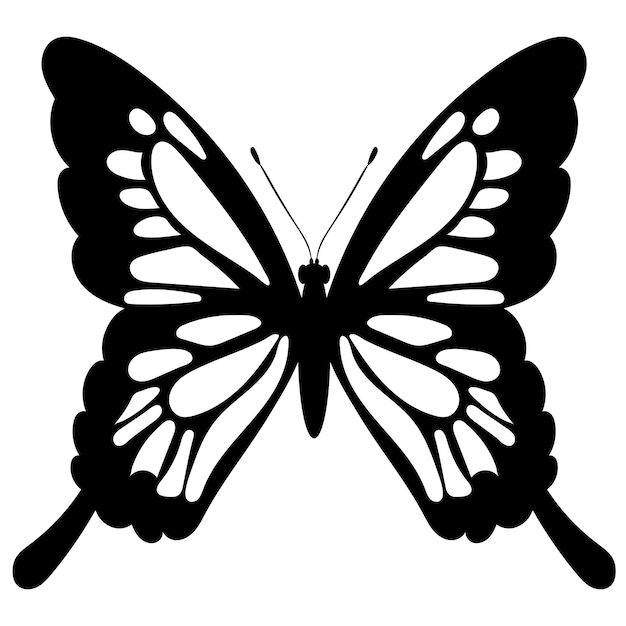 butterfly black and white silhouette, on a white background, vector