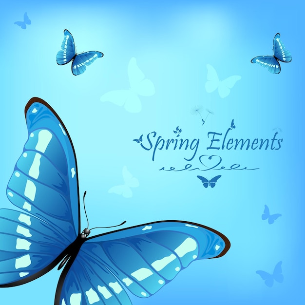 butterfly on blue background