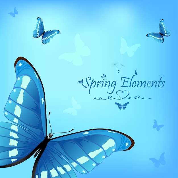 Butterfly on blue background