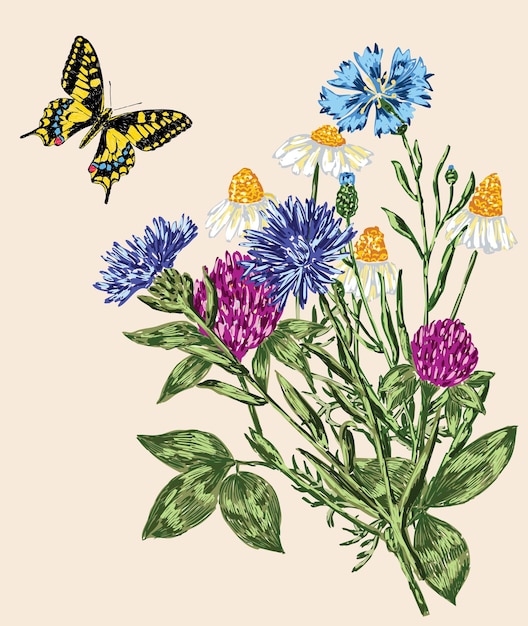 Vector butterfly and bouquet of the wildflowers