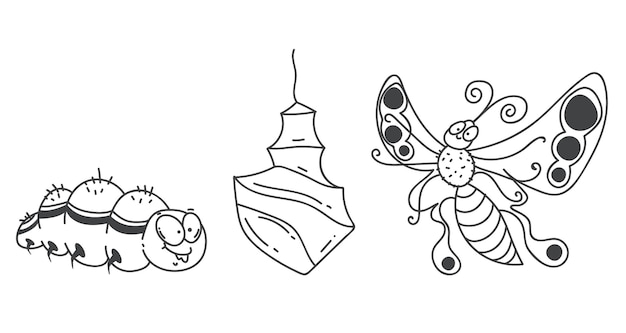 蝶の幼虫のライフ サイクル昆虫変態ライン アート アウトライン コンセプト