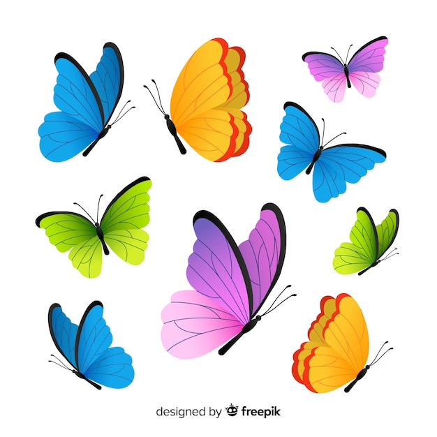 Vector butterfly collection