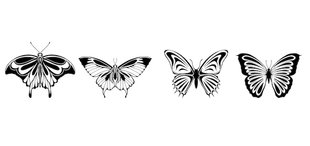 Butterfly Collection