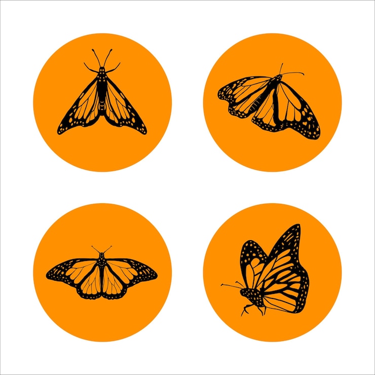 Vector butterfly collection