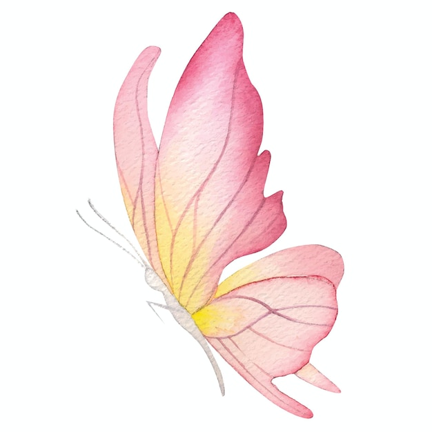 Butterfly color yellow white background sticker logo fly insect summer little decor room