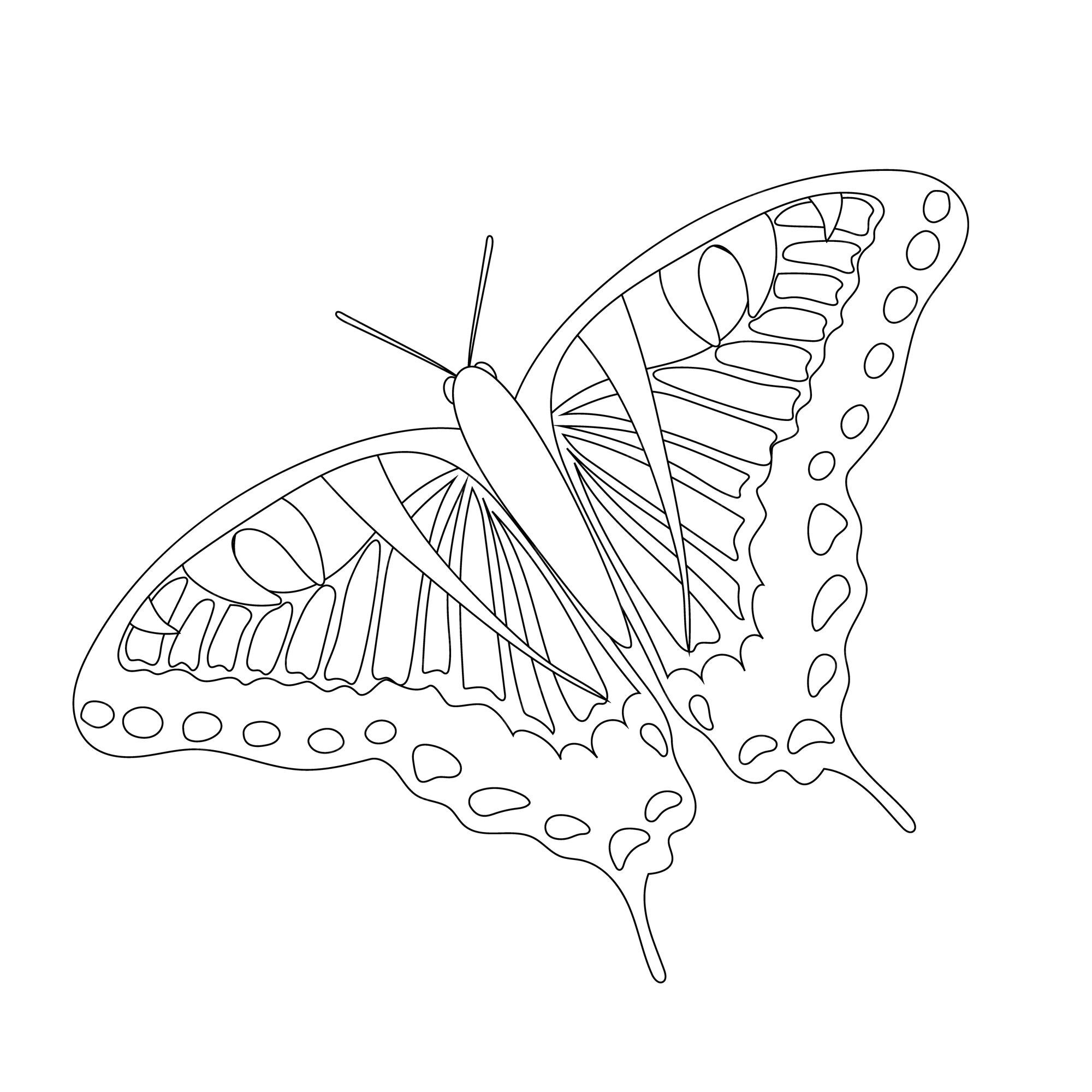 Premium Vector | Butterfly coloring book for children in black and