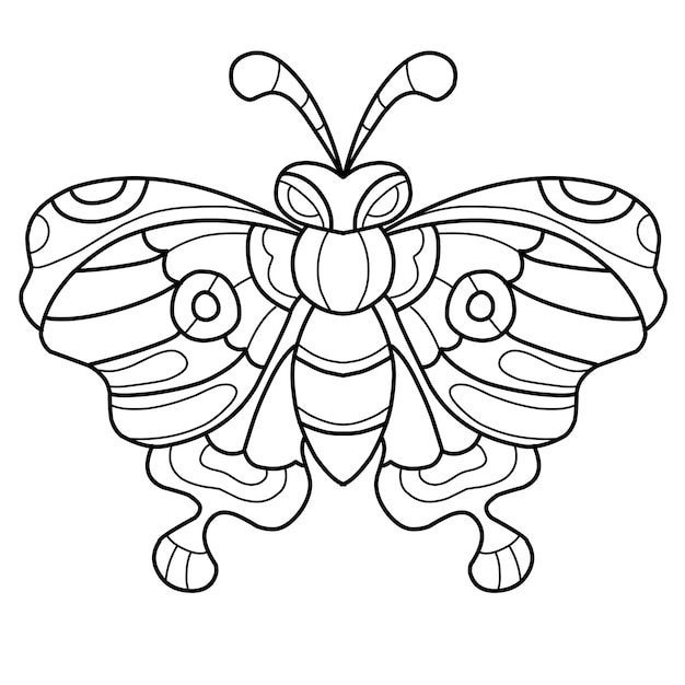 Butterfly coloring book isolated on white background