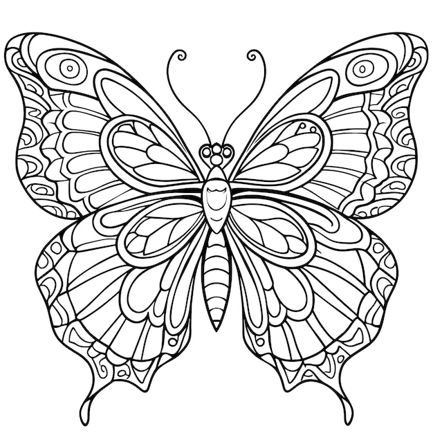 Butterfly coloring book