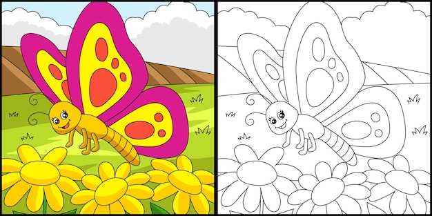 Butterfly Coloring Page Colored Illustration