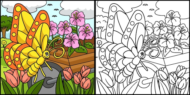 Butterfly Coloring Page Colored Illustration