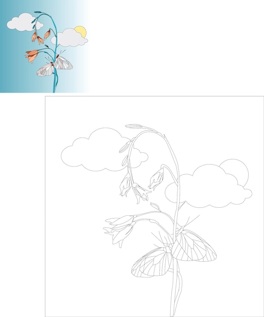 Vector butterfly colouring page