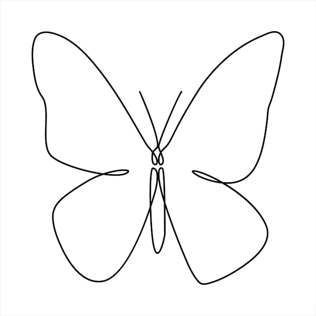 Butterfly continuous single line art outline Vector illustration and minimalist simple drawing