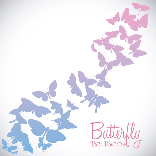 Butterfly design over white background vector illustration