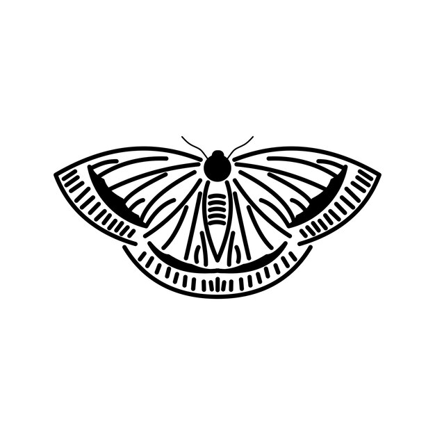 Vector butterfly drawing printable for pattern