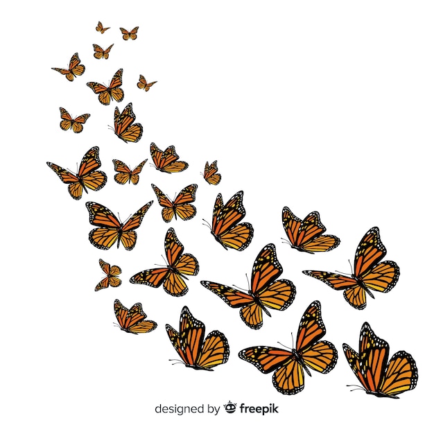 Butterfly group flying background