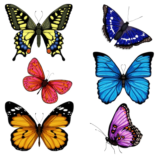 Бабочка рисованной набор красочных на белом