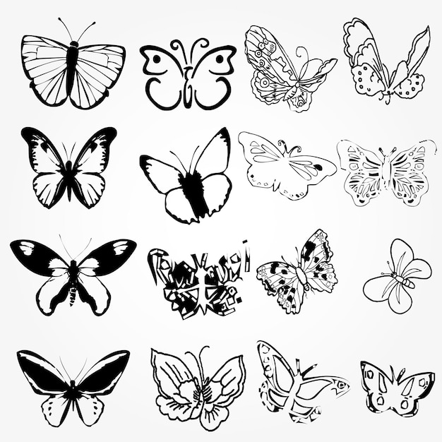 Vector butterfly icon collection