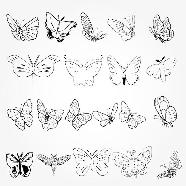 Butterfly icon collection