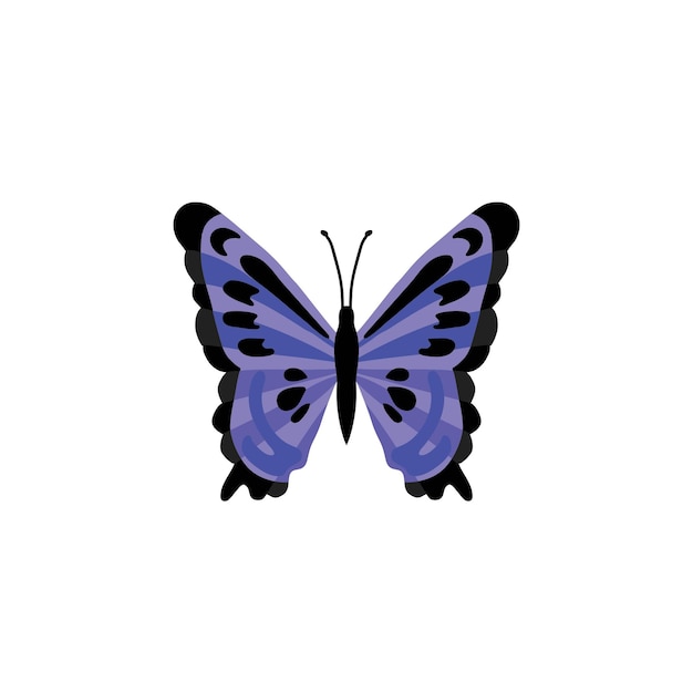 Vector butterfly icon colorful butterfly logo isolated beautiful butterfly illustration