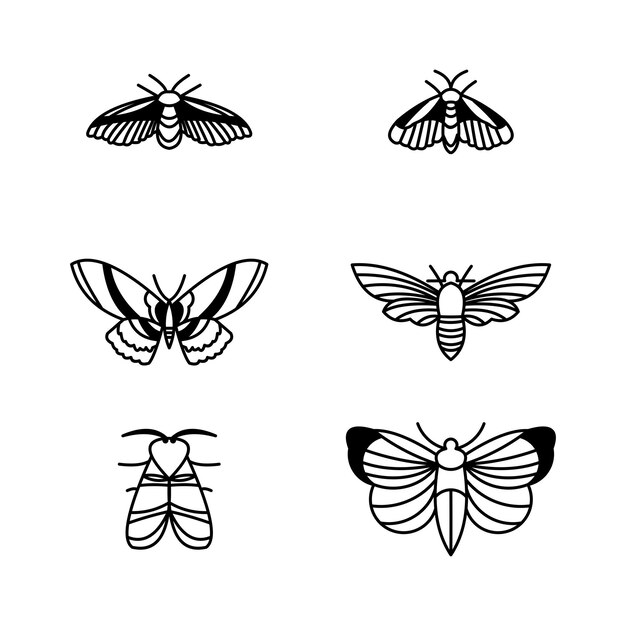 Butterfly icons set sketch illustration of butterflies type icon