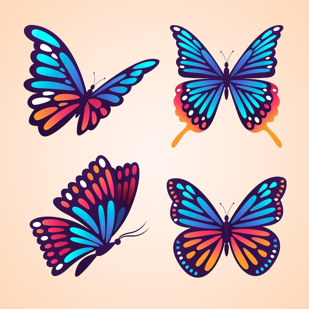 Vector butterfly illustration set