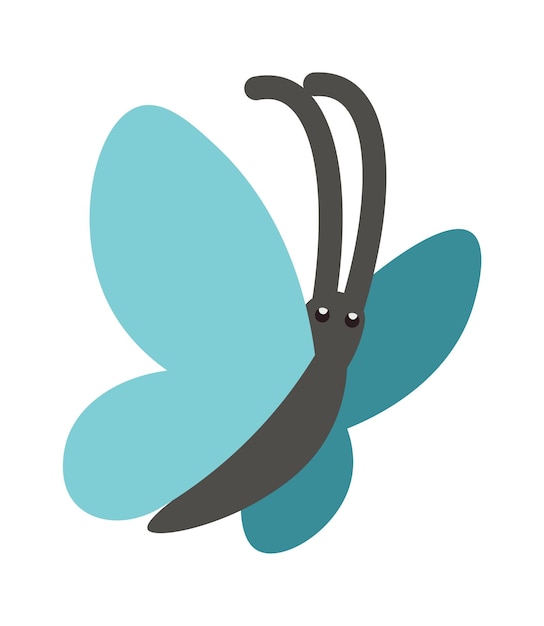 Butterfly insect icon Vector illustration