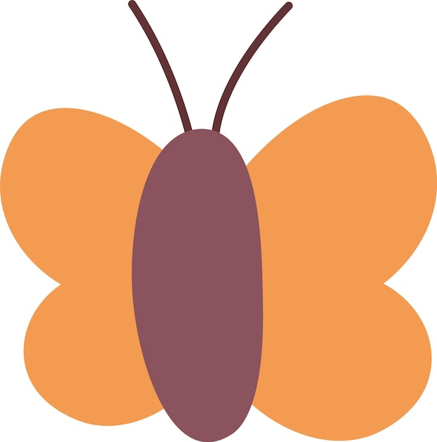 Butterfly Insect Icon