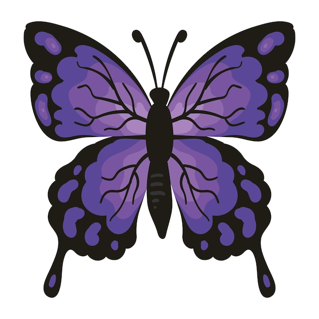 Vector butterfly insect purple illustration isolated