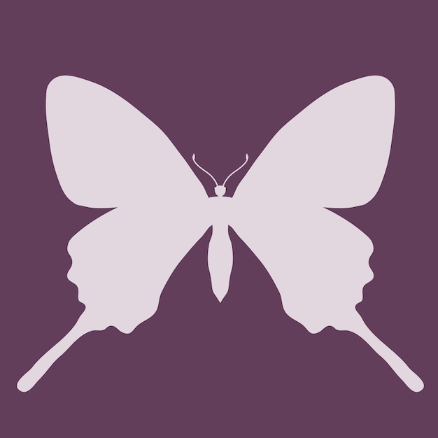 Vector butterfly insect silhouette outline