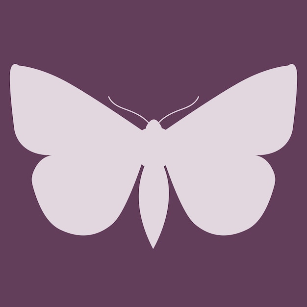 Vector butterfly insect silhouette outline