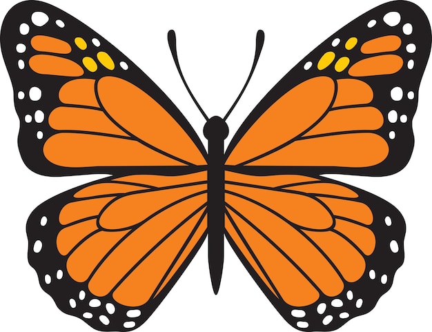 Vector butterfly insect