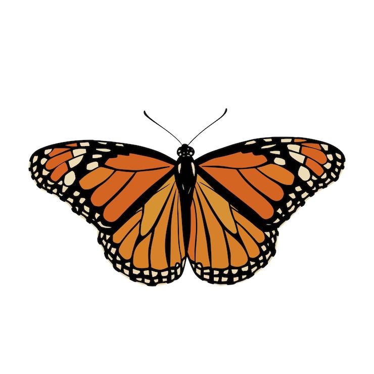 Vector the butterfly is flying in the air in front generate by ai