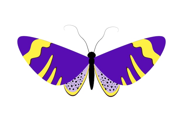 고립된 색 배경의 나비 터