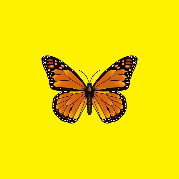 Butterfly isolated on yellow background