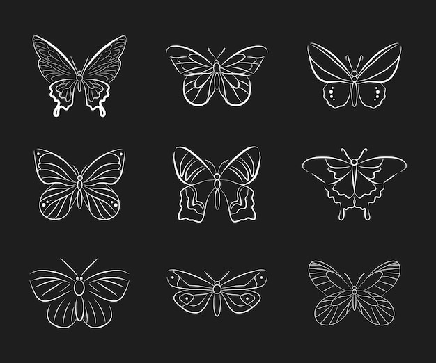 Butterfly line art collection