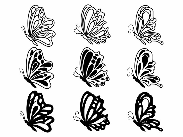 Vector butterfly line art drawing image