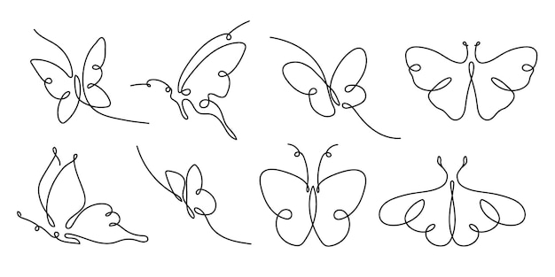 Butterfly Line art Drawing