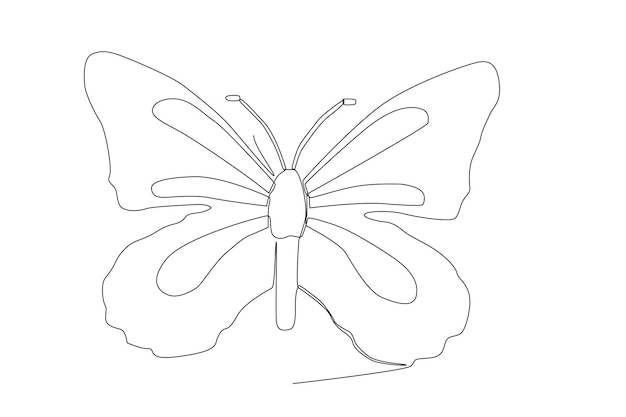 Farfalla linea art