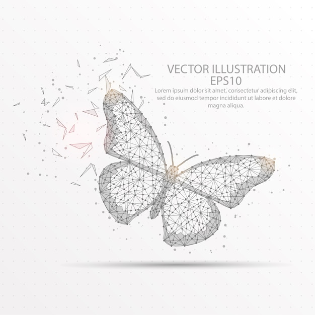 Butterfly low poly wire frame.