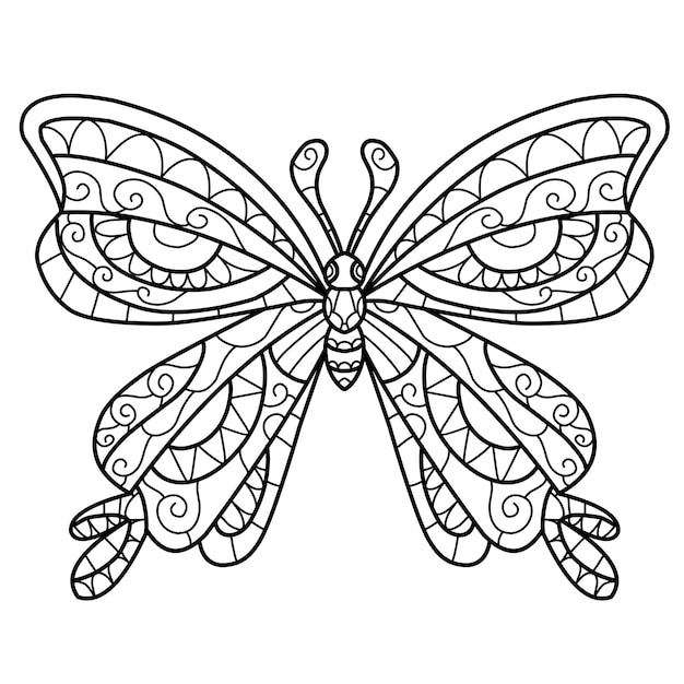 Vector butterfly mandala coloring book isolated on white background