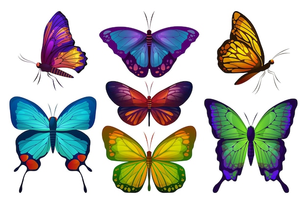 Vector butterfly or moth butterfly set vector icons