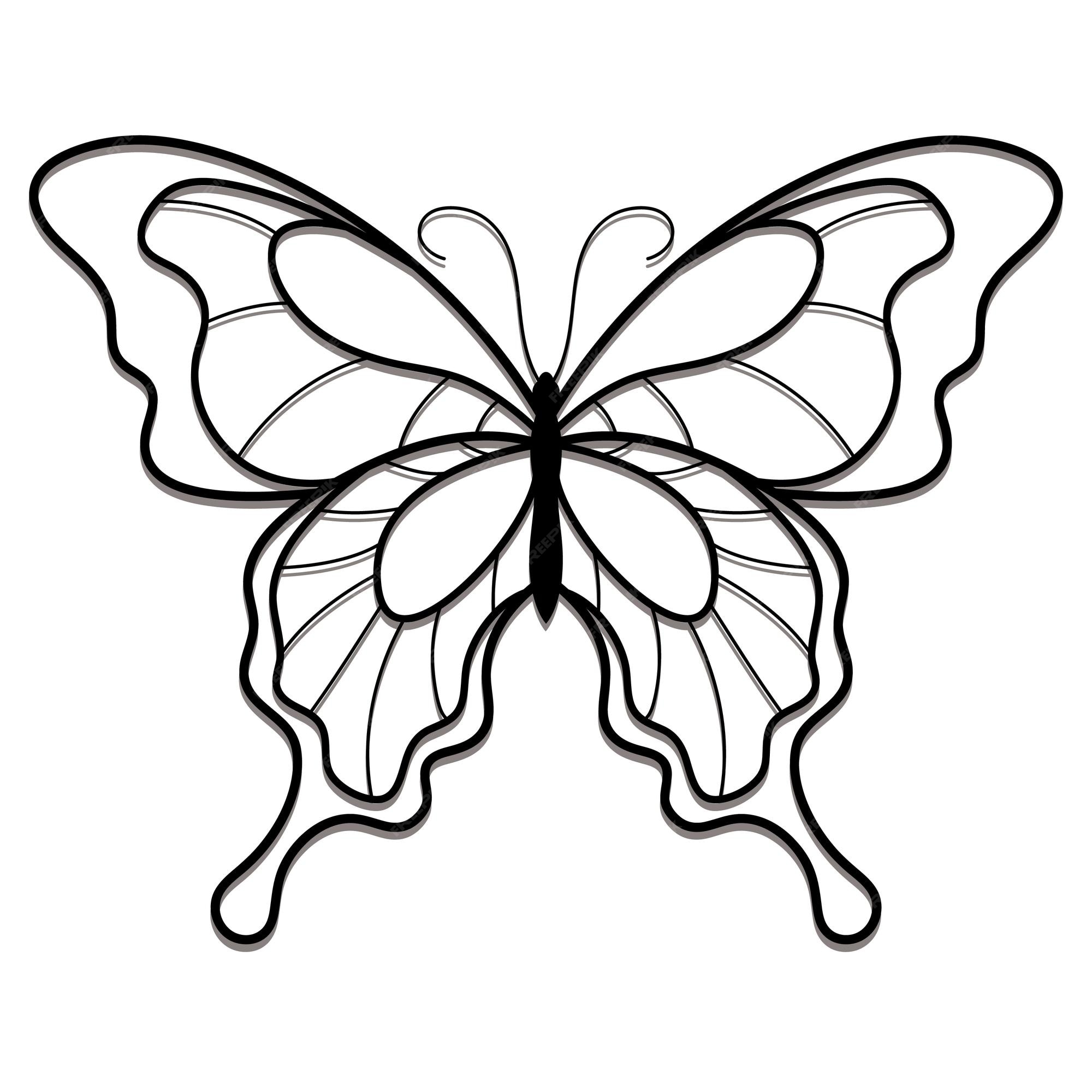 Premium Vector Butterfly outline drawing for kids