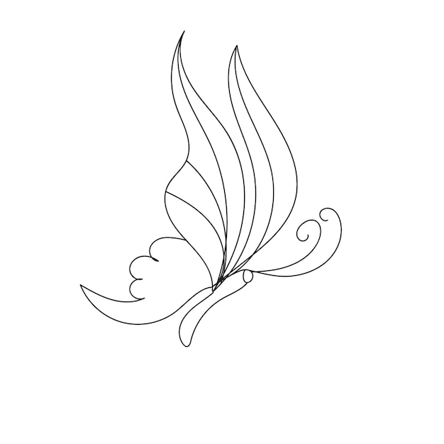 Butterfly outline with drawn details collection