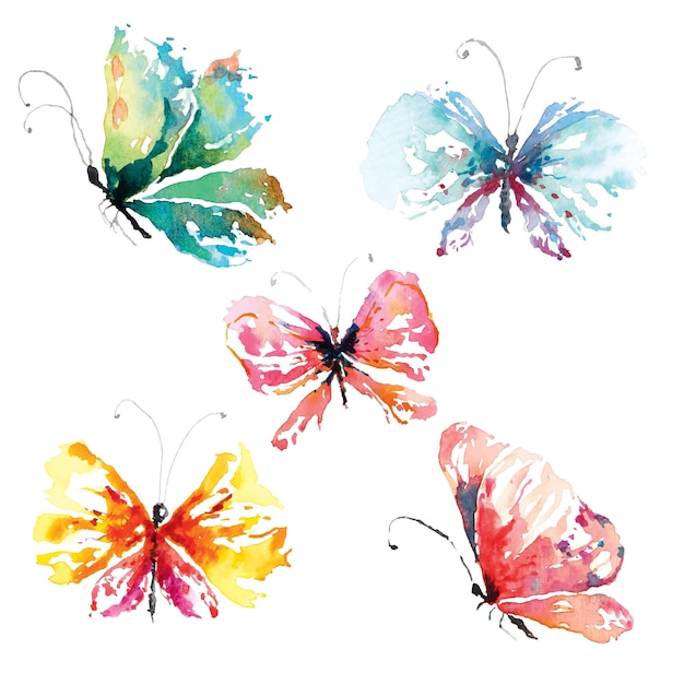 Butterfly painted with watercolors 1