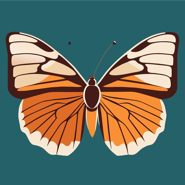 Vector butterfly patterns unleash your creative spirit