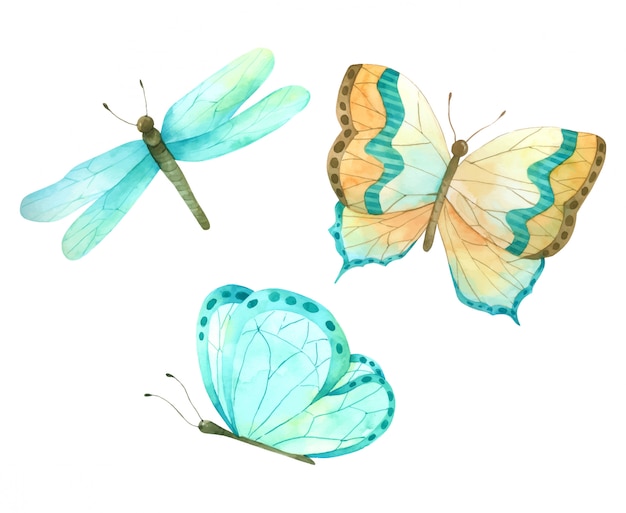 Butterfly set hand verf aquarel collectie voor design