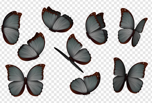 Butterfly Set. Isolated butterflies. Realistic Insects with bright coloring on transparent background. Vector illustration