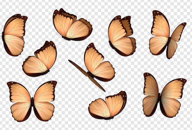 バタフライ セット。孤立した蝶。透明な背景に明るい色のリアルな昆虫。ベクトル図