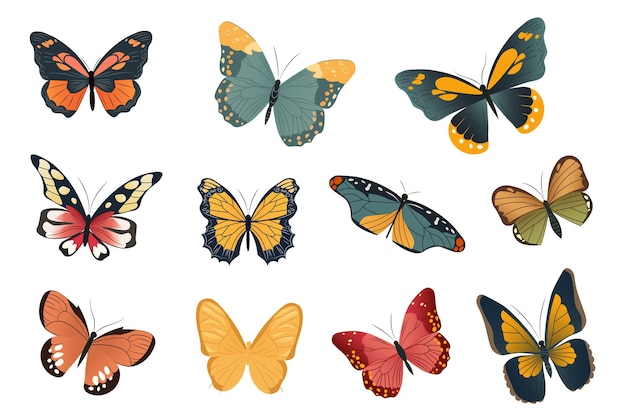 Vector butterfly set playful cartoon illustration featuring a charming set of flatdesign butterflies