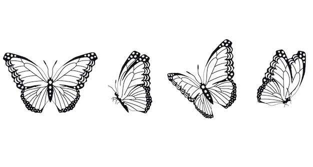 Butterfly silhouette in 4 options vector in isolated background